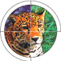 Instituto Nex no extinction